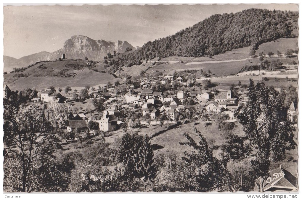 ,laval,prés De Grenoble,alt 605m,vue Du Village,et Plateau,au Fond ,la Dent De Crolles,rare,isère,1958 - Laval