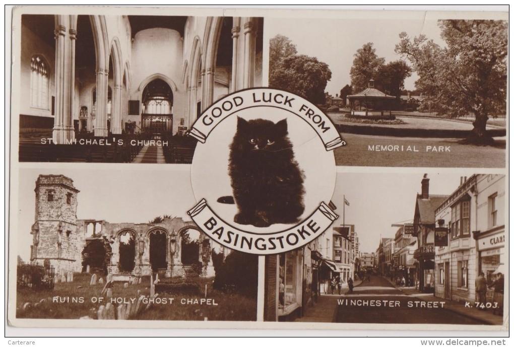 Carte Photo,1909,basingstoke,an Gleterre,chat,church,memo Rial Park,holy Ghost Chapel,winchester Street - Andere & Zonder Classificatie
