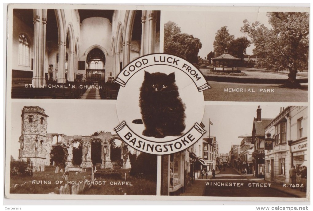 Carte Photo,1909,basingstoke,an Gleterre,chat,church,memo Rial Park,holy Ghost Chapel,winchester Street - Sonstige & Ohne Zuordnung