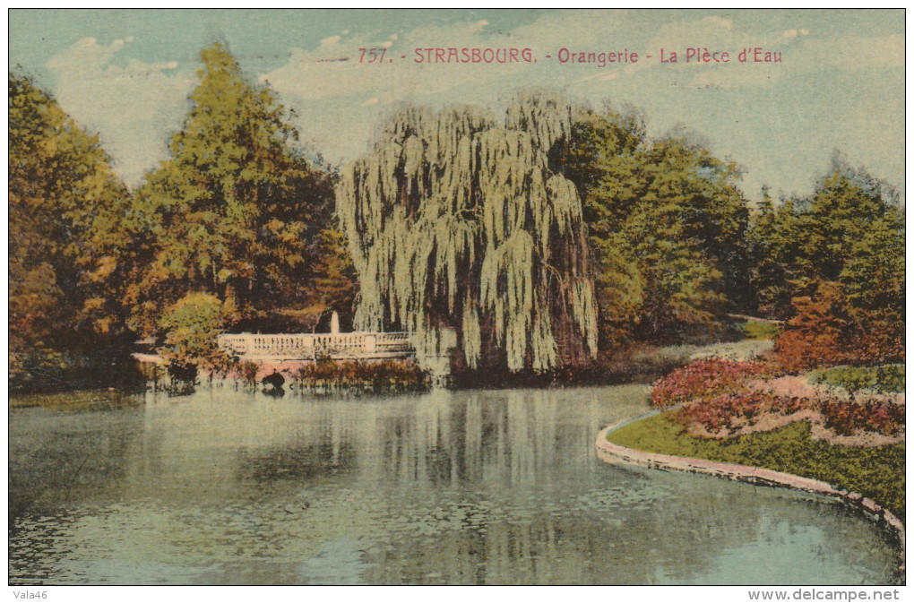 FRANCE THEME SANTE  EXPOSITION    PASTEUR   STRASBOURG   1923 - Maladies