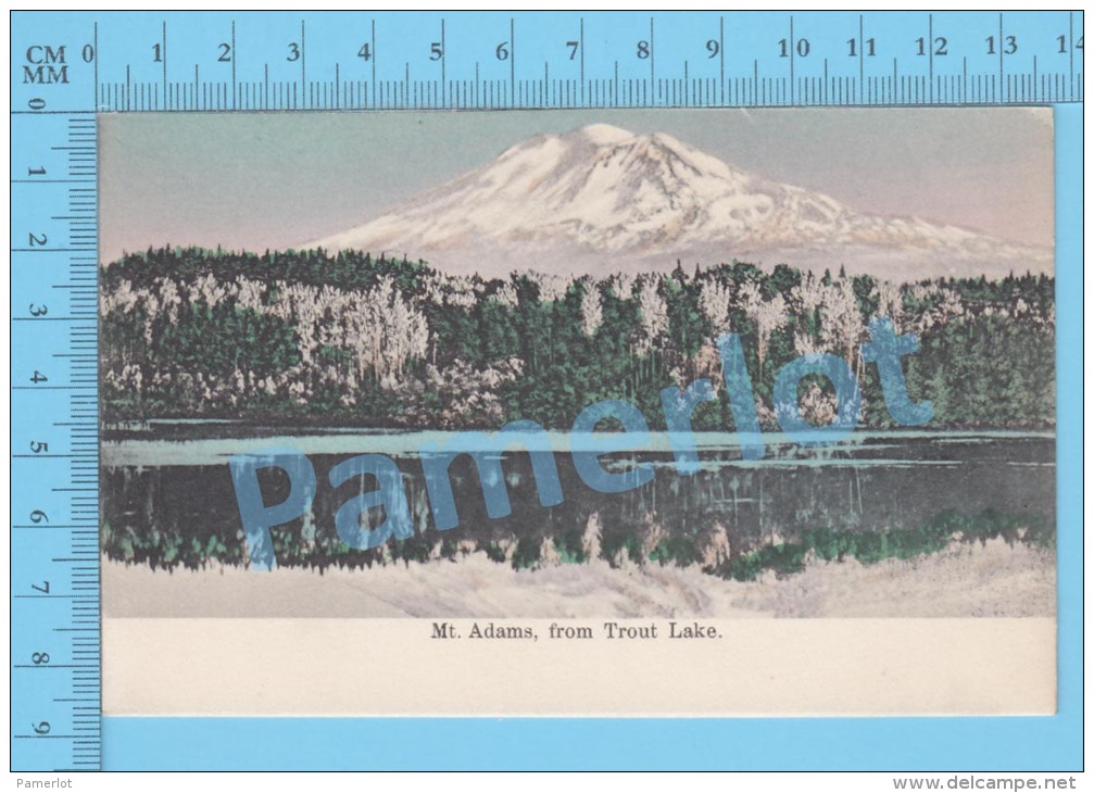 New Hampshire ( Mt Adams From Trout Lake  ) Post Card Carte Postale Recto/Verso - Photographie