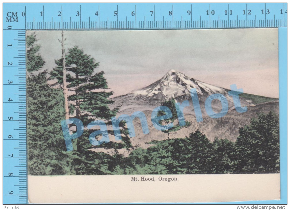 Oregon USA ( Mt Hood  ) Post Card Carte Postale Recto/Verso - Photographie