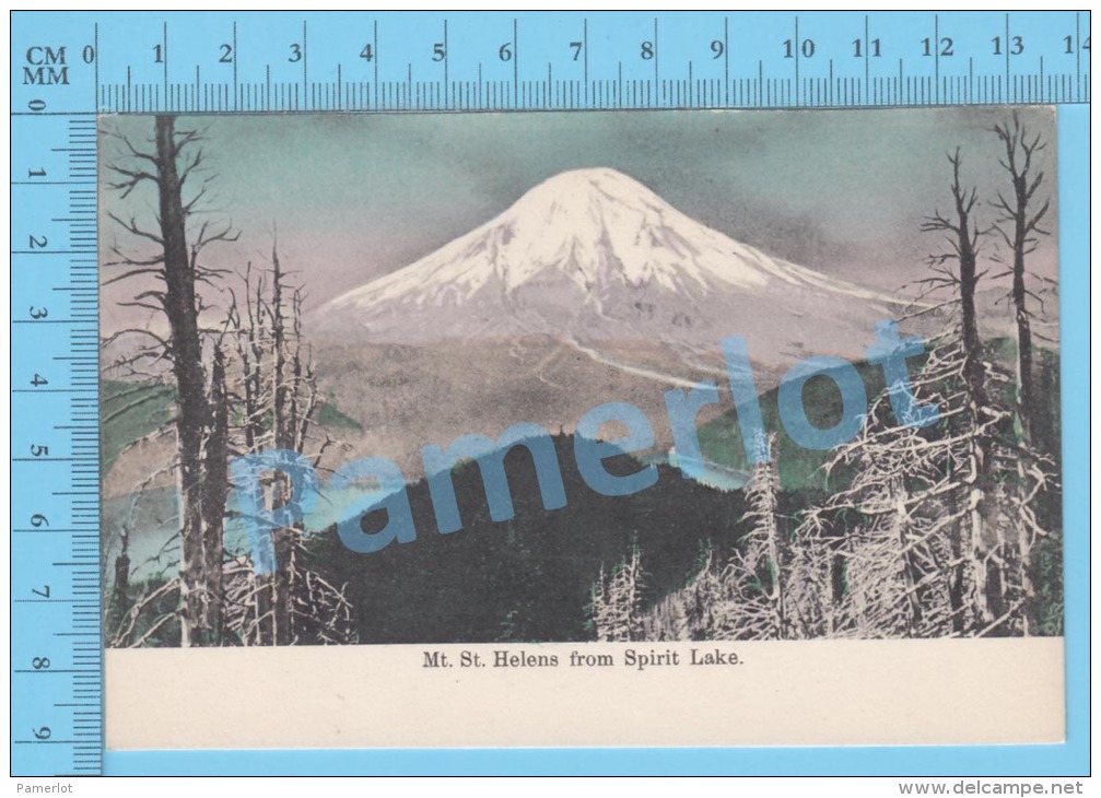 Oregon USA ( Mt St. Helens From Spirit Lake ) Post Card Carte Postale Recto/Verso - Photographie