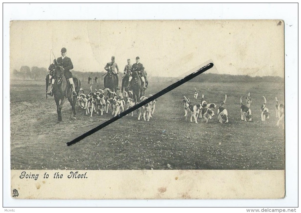 CPA - Chasse à Courre - Going To The Meet Chiens - Jagd