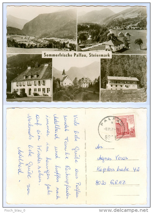 AK Steiermark 8923 Palfau Sommerfrische Österreich Ansichtskarte Austria Autriche Styria Picture Postcard - Hieflau