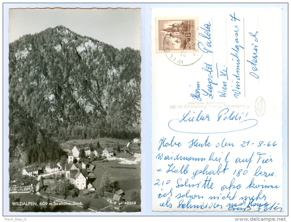 AK Steiermark 8924 Wildalpen Verlag P. Ledermann 1963 Österreich Ansichtskarte Austria Autriche Picture Postcard - Wildalpen