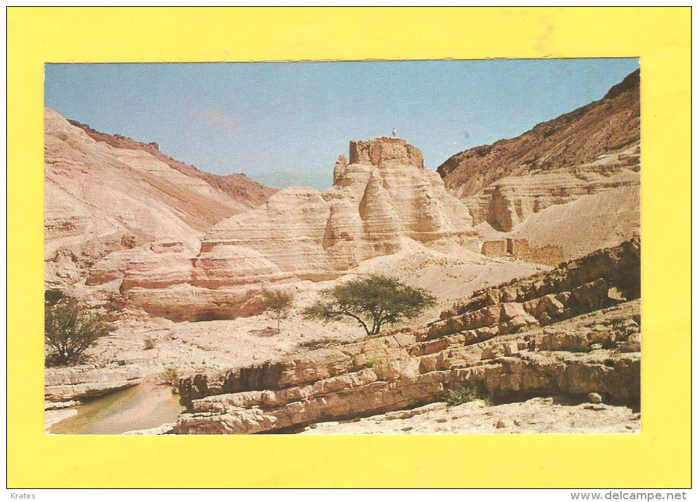 Postcard - Israel, Zohar-Citadel      (17897) - Israel