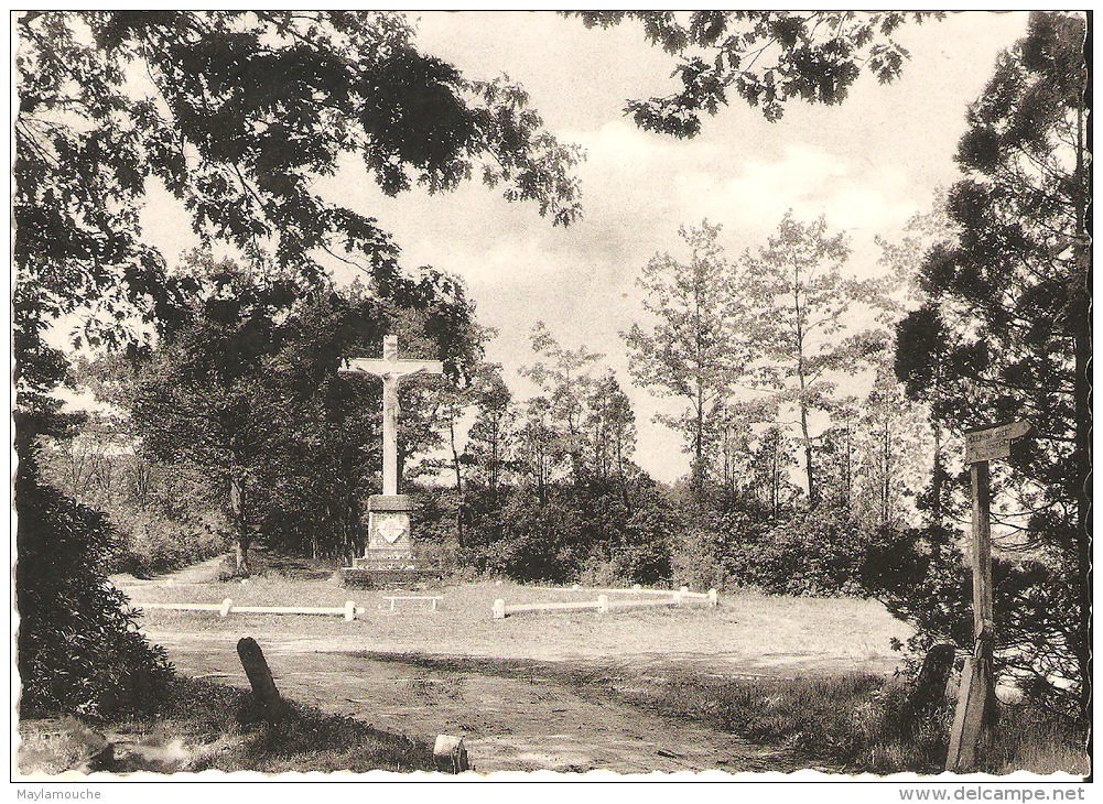 Pulderbos - Zandhoven