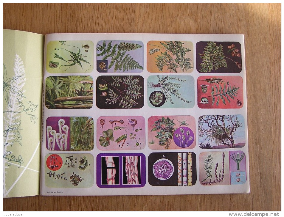L' UNIVERS EN IMAGES Le Monde Des Plantes Hemma Album Chromos Complet Nature Vignettes Trading Card Vignette Chromo - Sammelbilderalben & Katalogue