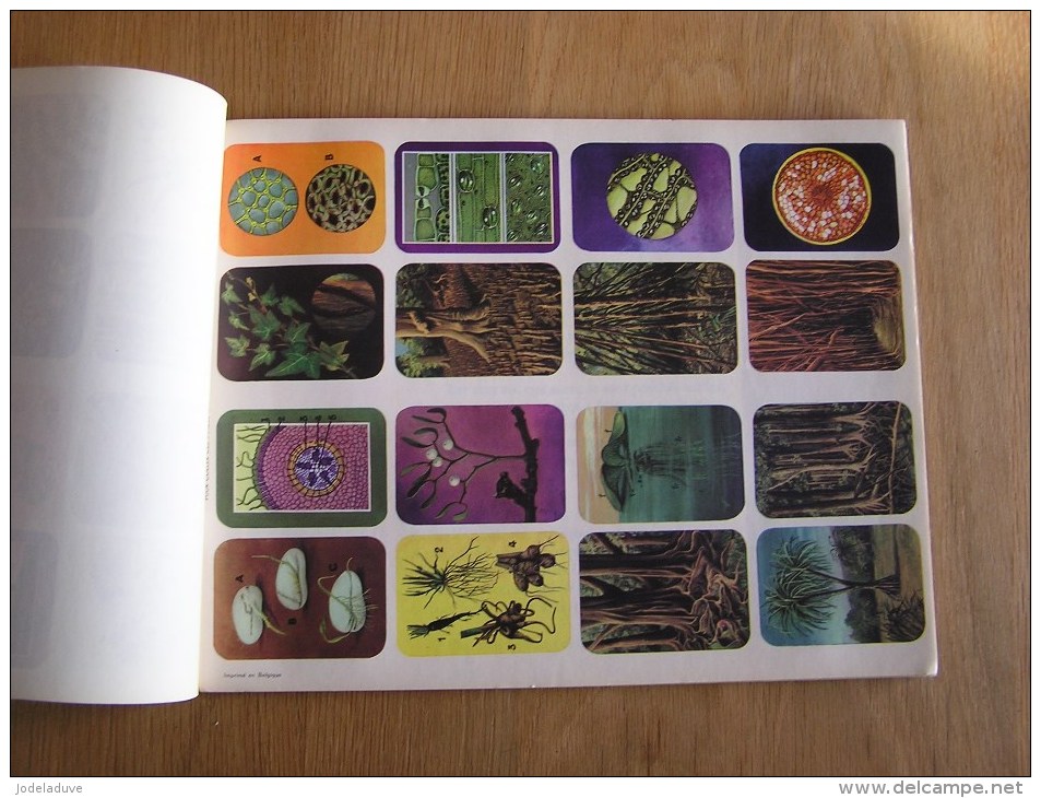 L' UNIVERS EN IMAGES Le Monde Des Plantes Hemma Album Chromos Complet Nature Vignettes Trading Card Vignette Chromo - Sammelbilderalben & Katalogue