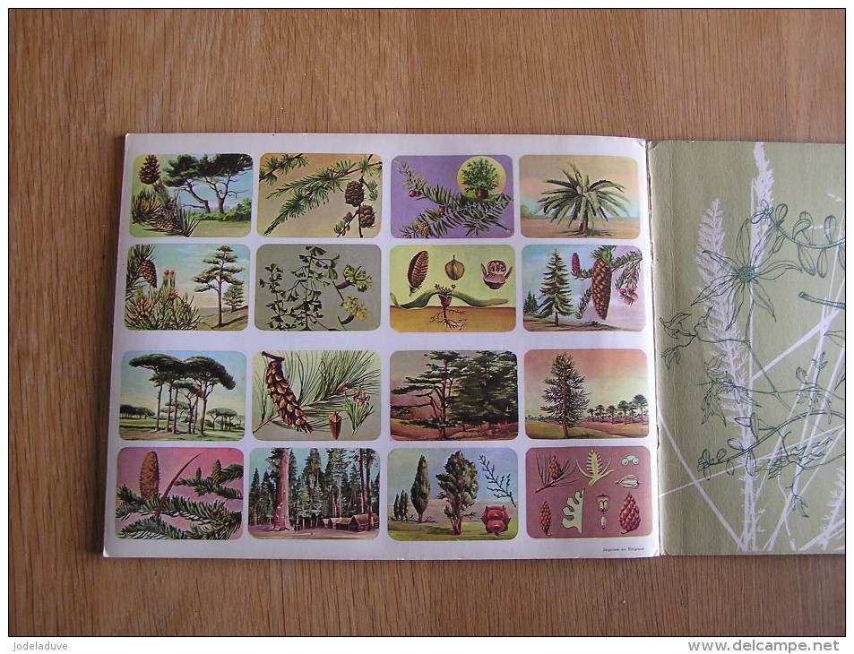 L' UNIVERS EN IMAGES Le Monde Des Plantes Hemma Album Chromos Complet Nature Vignettes Trading card Vignette Chromo