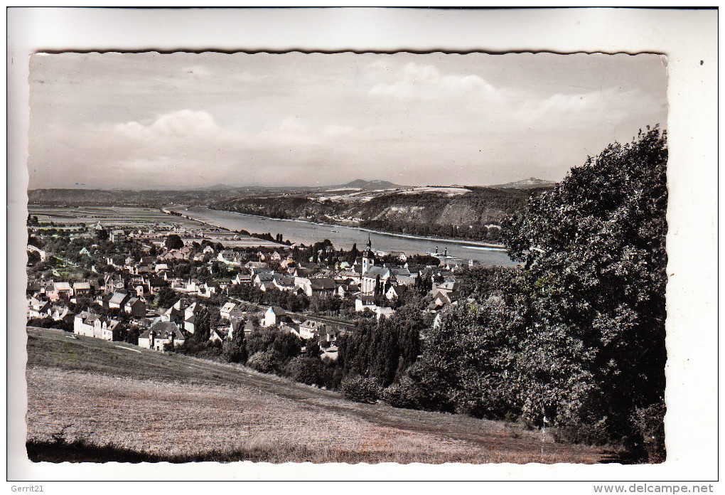 5484 BAD BREISIG - NIEDERBREISIG, Panorama, 1955 - Bad Breisig