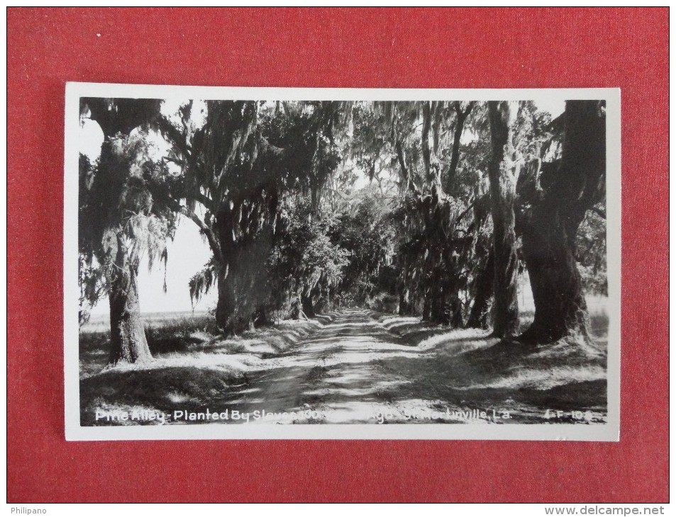 - Louisiana>   Rppc   Pine Alley   -- Ref  1660 - Andere & Zonder Classificatie