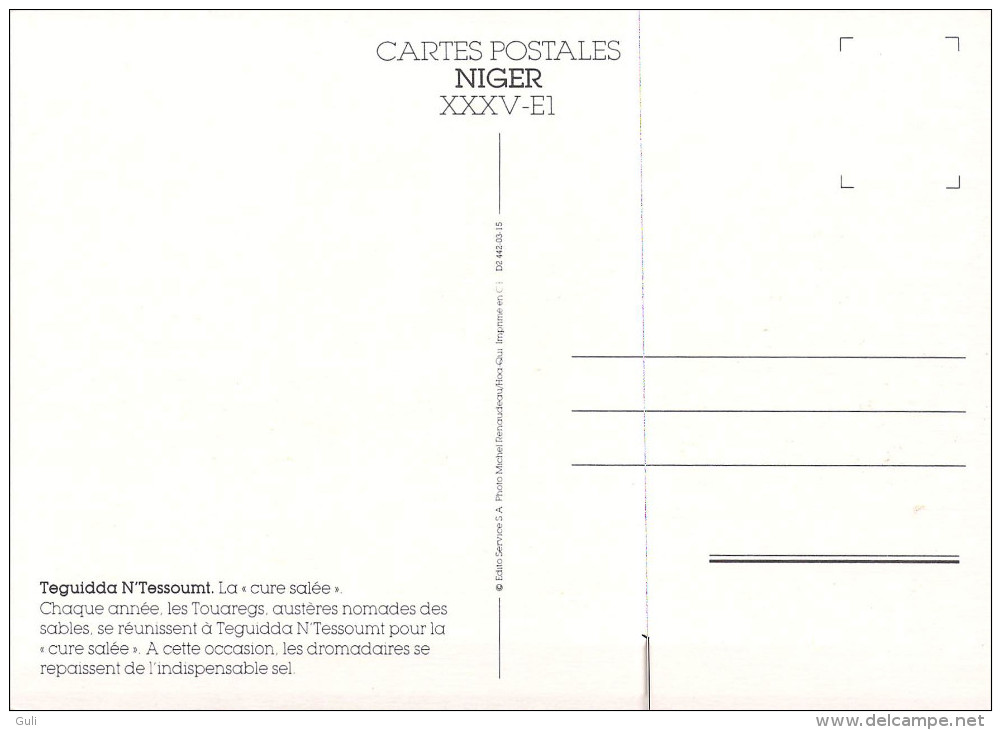 Afrique >NIGER Teguidda N´Tessoumt La Cure Salée  (C) *PRIX FIXE - Niger