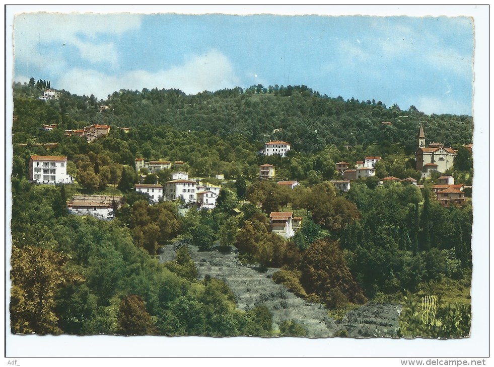 CPSM COLORISEE SCLOS DE CONTES, VUE GENERALE, ALPES MARITIMES 06 - Contes