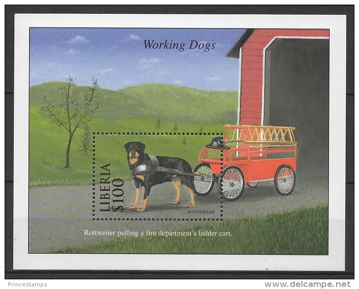 Liberia (2000) Yv. Bf. 257  /  Perros - Dogs - Chiens - Hunde - Chiens