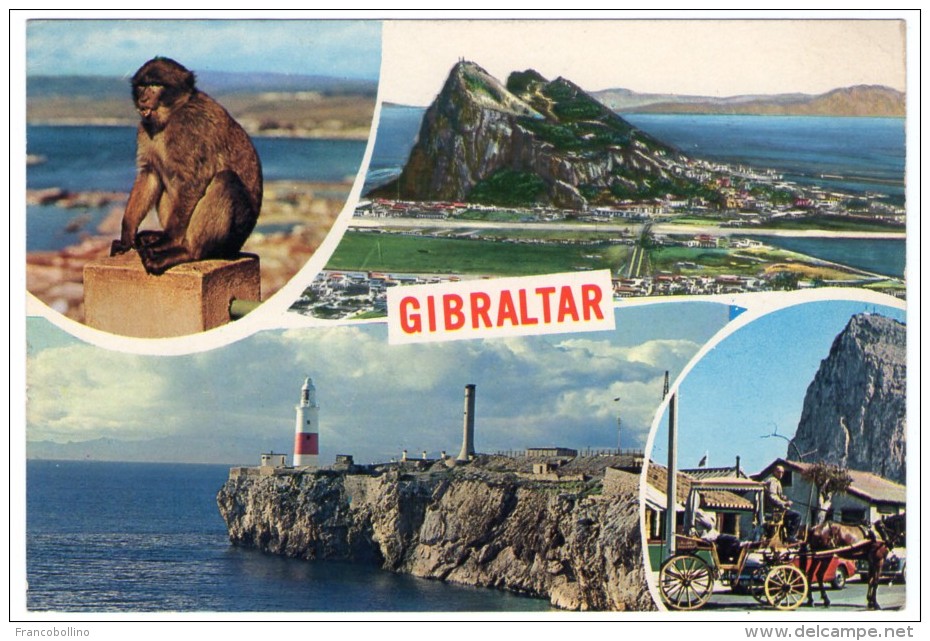 GIBRALTAR - VIEWS / THEMATIC STAMP-FISH / FISHING - Gibilterra