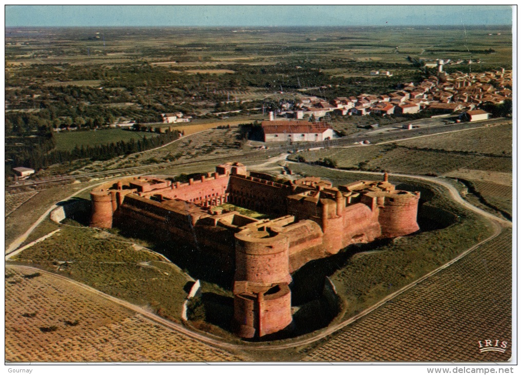 Château Fort De Salses Vu Du Ciel - Architecture Militaire Espagnole XVè S. (aérienne N°66/267 Théojac) - Salses