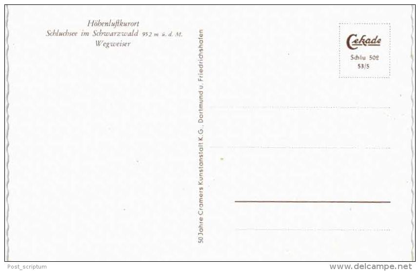 Allemagne - Schluchsee Im Schwarzwald - Wegweiser - St Bläsien - Lenzkirch Neustadt - Poteau Indicateur - St. Blasien