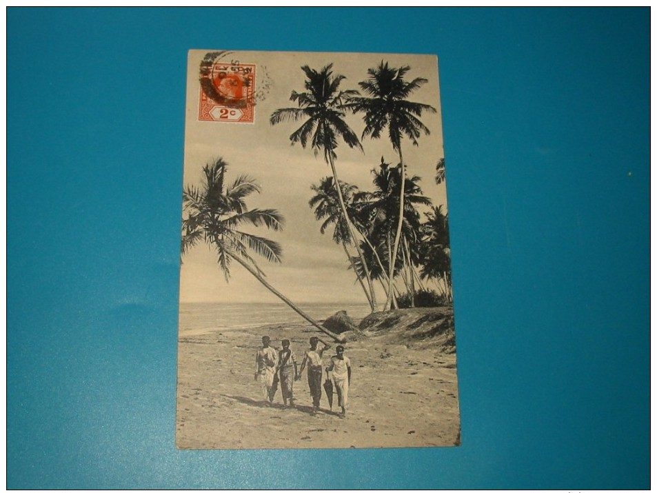 Cpa   24  Cocoanut  Palms On Sea-shore   COLOMBO   Sri Lanka - Sri Lanka (Ceylon)