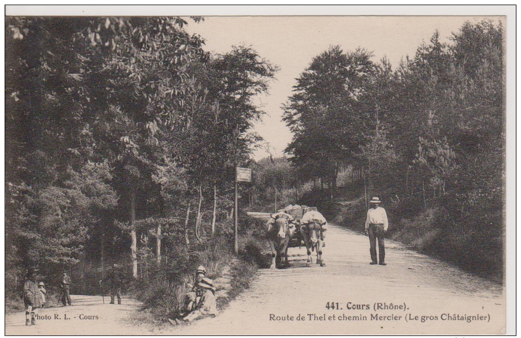 COURS - Route De Thel Et Chemin Mercier (Le Gros Châtaignier) - Cours-la-Ville