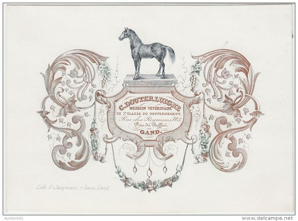 24096g MEDECIN VETERINAIRE - C. DOUTERLUIGNE - Rue Des Regnesses, 3 - Gand - Carte Porcelaine 18.6x13.4c - GF - Cartes De Visite