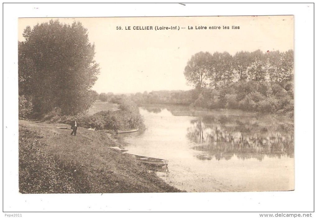CPA :44 - Le Cellier : La Loire Entre Les Iles : Cours D'eau - Barques Amarrées - Homme Sur Une Berge - Le Cellier