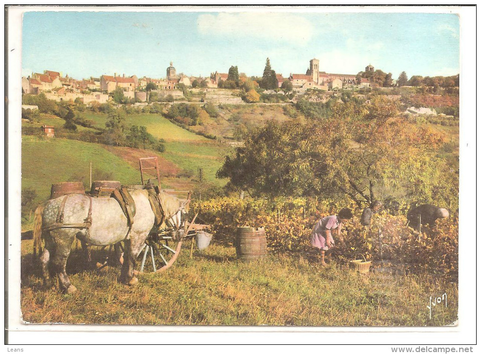 VEZELAY  ATTELAGE DANS LES VIGNES - Wagengespanne