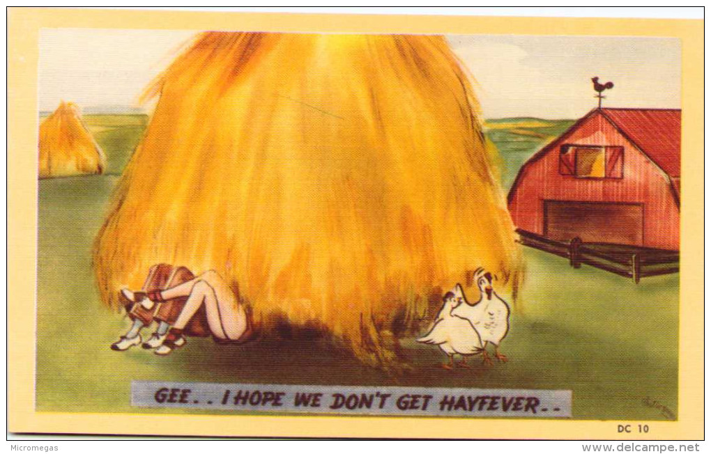 Gee..! I Hope We Don't Get Hayfever.. - Humour