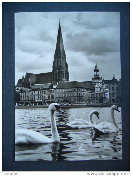 Germany: SCHWERIN - Blick Zum Dom - Schwan Schwäne Swan - 1970s - Schwerin