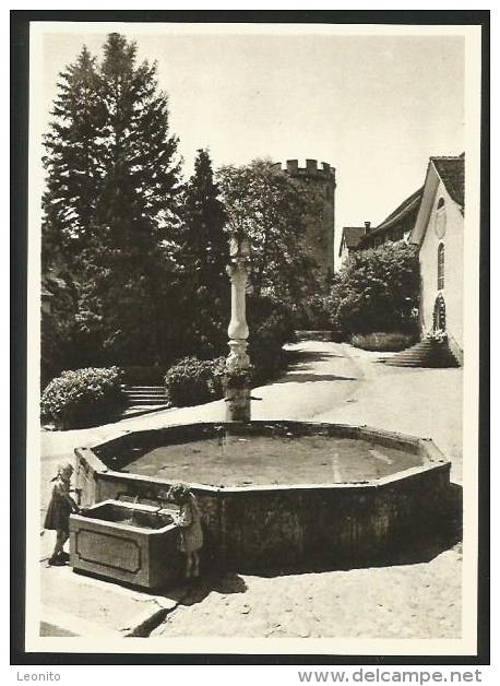 REGENSBERG Oberburger Brunnen Schlossturm Dielsdorf Ca. 1950 - Dielsdorf