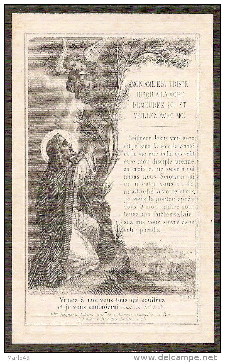 DP. JACQUES DEWAELE - ° REXPOEDE 1808 - + HOYMILLE 1868 - Religion & Esotericism