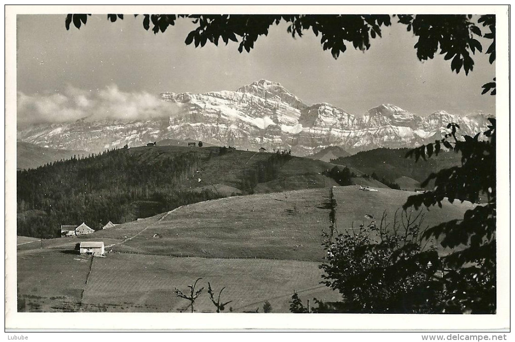 Degersheim - Ausblick Vom Fuchsacker Auf Säntiskette            1934 - Degersheim