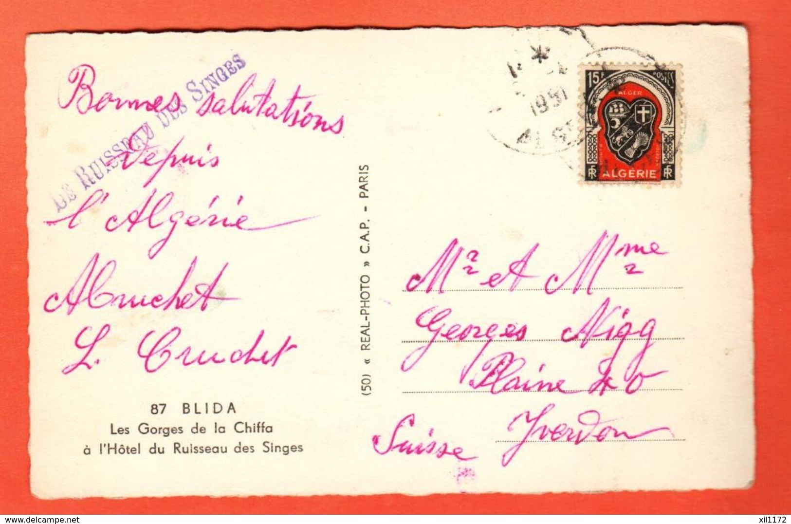 NT-17 Blida, Les Gorges De La Chiffa, à L'Hôtel Du Ruisseau Des Singes. Cachet 1950  Pour La Suisse Yverdon - Blida