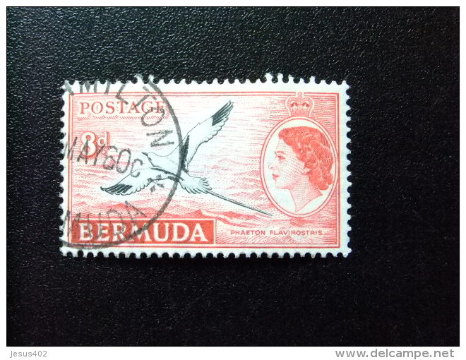 BERMUDA - BERMUDES - 1953-58 - SERIE COURANTE.ELIZABETH II ET SUJETS DIVERS - Yvert N&ordm; 141A &ordm; FU - Bermudas