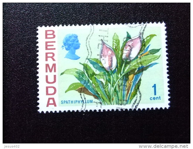 BERMUDA - BERMUDES - 1970 - FLEURS - FLORES  -FLOWERS - Yvert N&ordm; 243 &ordm; FU - Bermudas