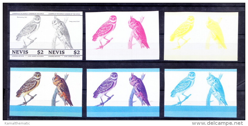 Nevis Colour Trail, Burrowing Owl, Long Eared Owl, Birds, Audubon, (a) - Owls