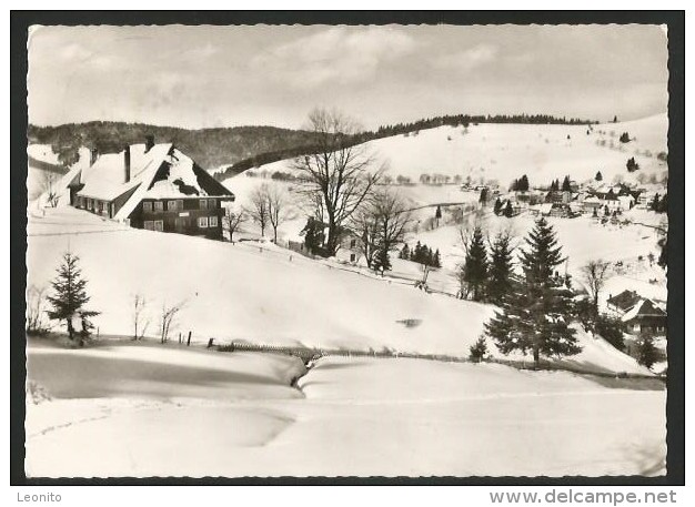 TODTNAUBERG Todtnau Schwarzwald Pension BADER 1971 - Todtnau