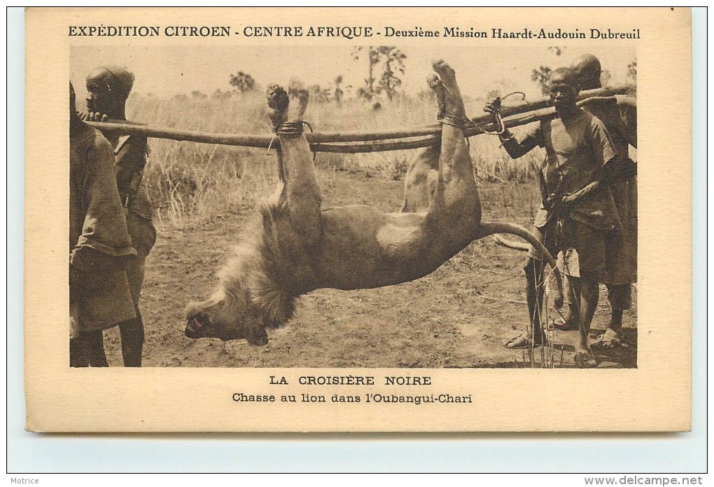 EXPÉDITION CITROËN - Centre Afrique, La Croisière Noire, Chasse Au Lion Dans L'Oubangui-Chari. - Centrafricaine (République)