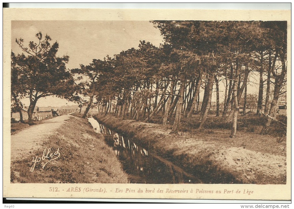 D33 - ARES - Les Pins Du Bord Des Réservoirs à Poissons Au Port De LEGE - Arès