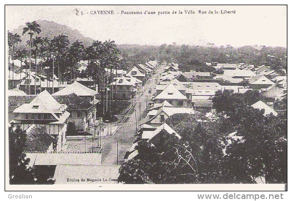 CAYENNE  5 PANORAMA D'UNE PARTIE DE LA VILLE . RUE DE LA LIBERTE (RETIRAGE DE CPA) - Cayenne