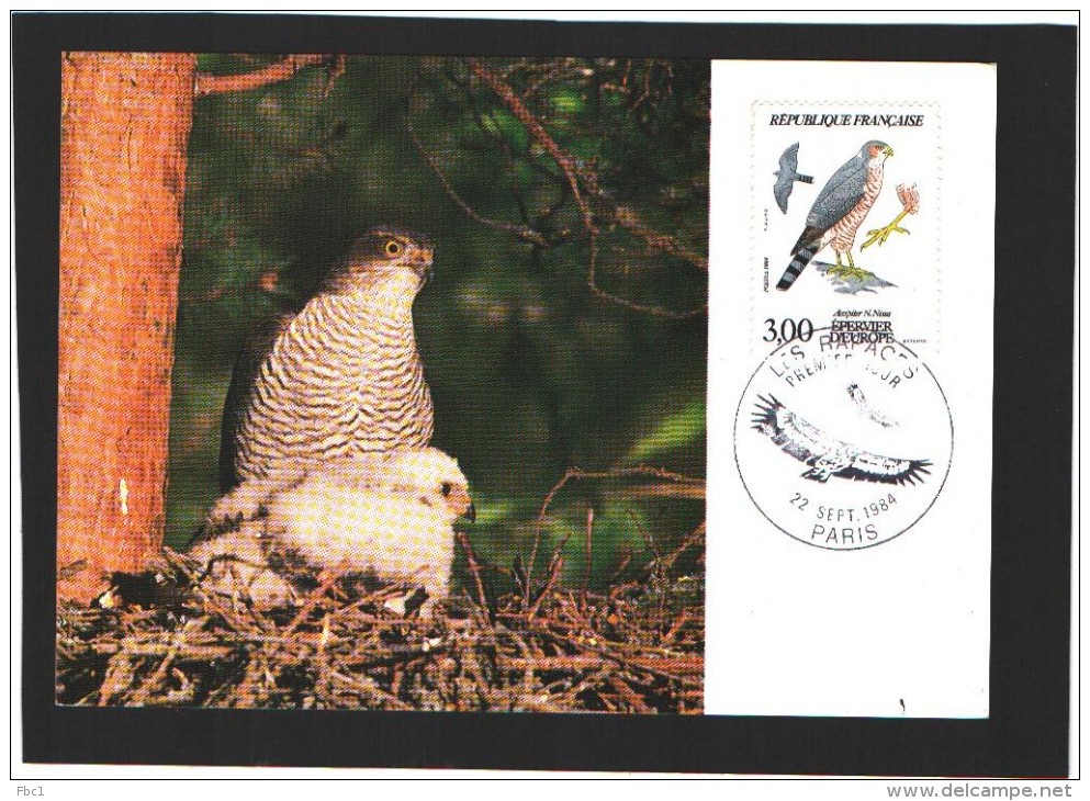 Carte Maximum - Oiseaux - France - Epervier D´ Europe  - Les Rapaces 1° Jour 1984 - Eagles & Birds Of Prey
