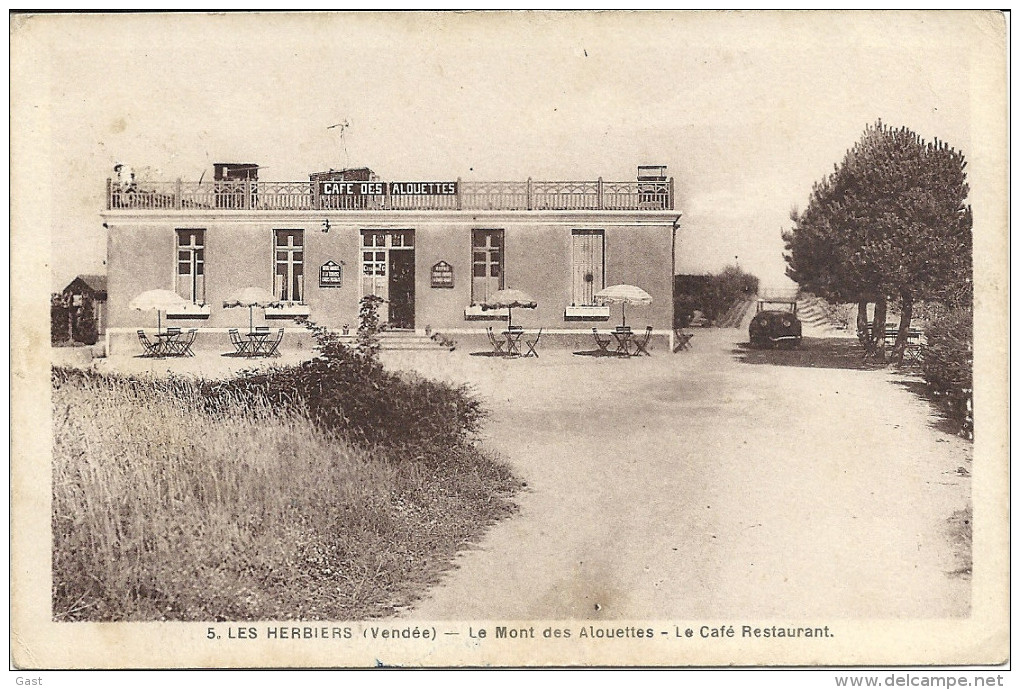 85  LES  HERBIERS    LE  MONT  DES  ALOUETTES  LE    CAFE  RESTAURANT - Les Herbiers