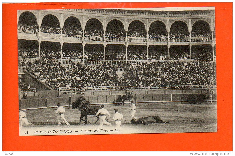 Corrida De Toros - Arrastre Del Toro - Corridas