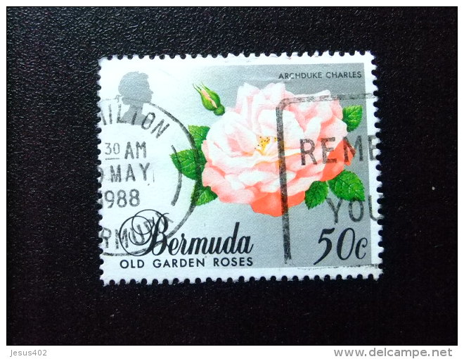 BERMUDA - BERMUDES - 1988 - FLEURS - ARCHIDUC CHARLES - Yvert N&ordm; 527 &ordm; FU - Bermuda