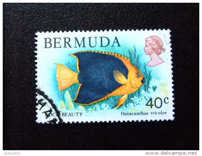 BERMUDA - BERMUDES - 1978-79 - FAUNE DES BERMUDES - Yvert N&ordm; 364 &ordm; FU - Bermudas