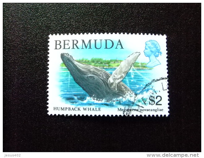 BERMUDA - BERMUDES - 1978-79 - FAUNE DES BERMUDES - Yvert N&ordm; 367 &ordm; FU - Bermuda