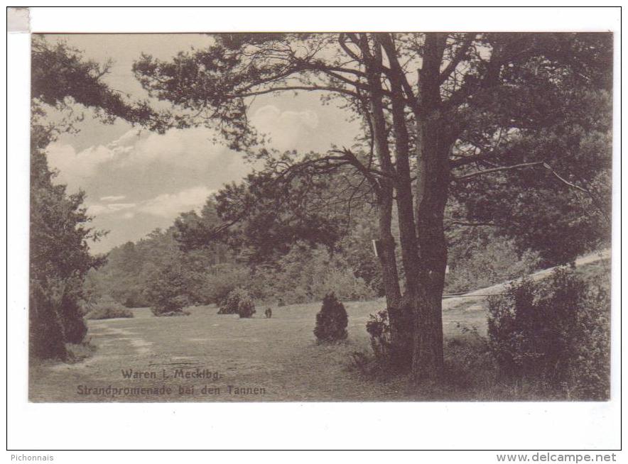 WAREN Mecklbg Strandpromenade Bei Den Tannen - Waren (Mueritz)