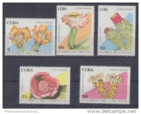 1994.51- * CUBA 1994. MNH. FLORES DE CACTUS. FLOWER. - Unused Stamps