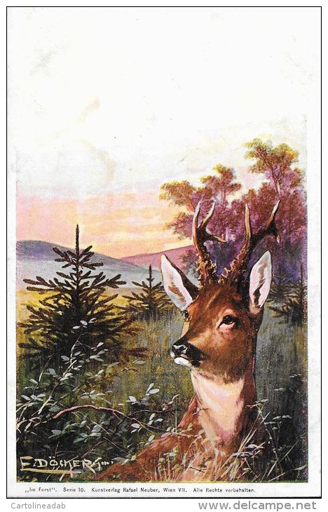 [DC5194] CARTOLINA - ILLUSTRATORE E. DOCKER - ANIMALI - CERVO - Non Viaggiata - Old Postcard - Doecker, E.